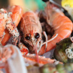 langoustines_carnac