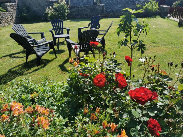 17 5 2020 Jardin aux roses 2