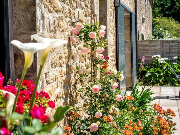 17 5 2020 Les fleurs 9